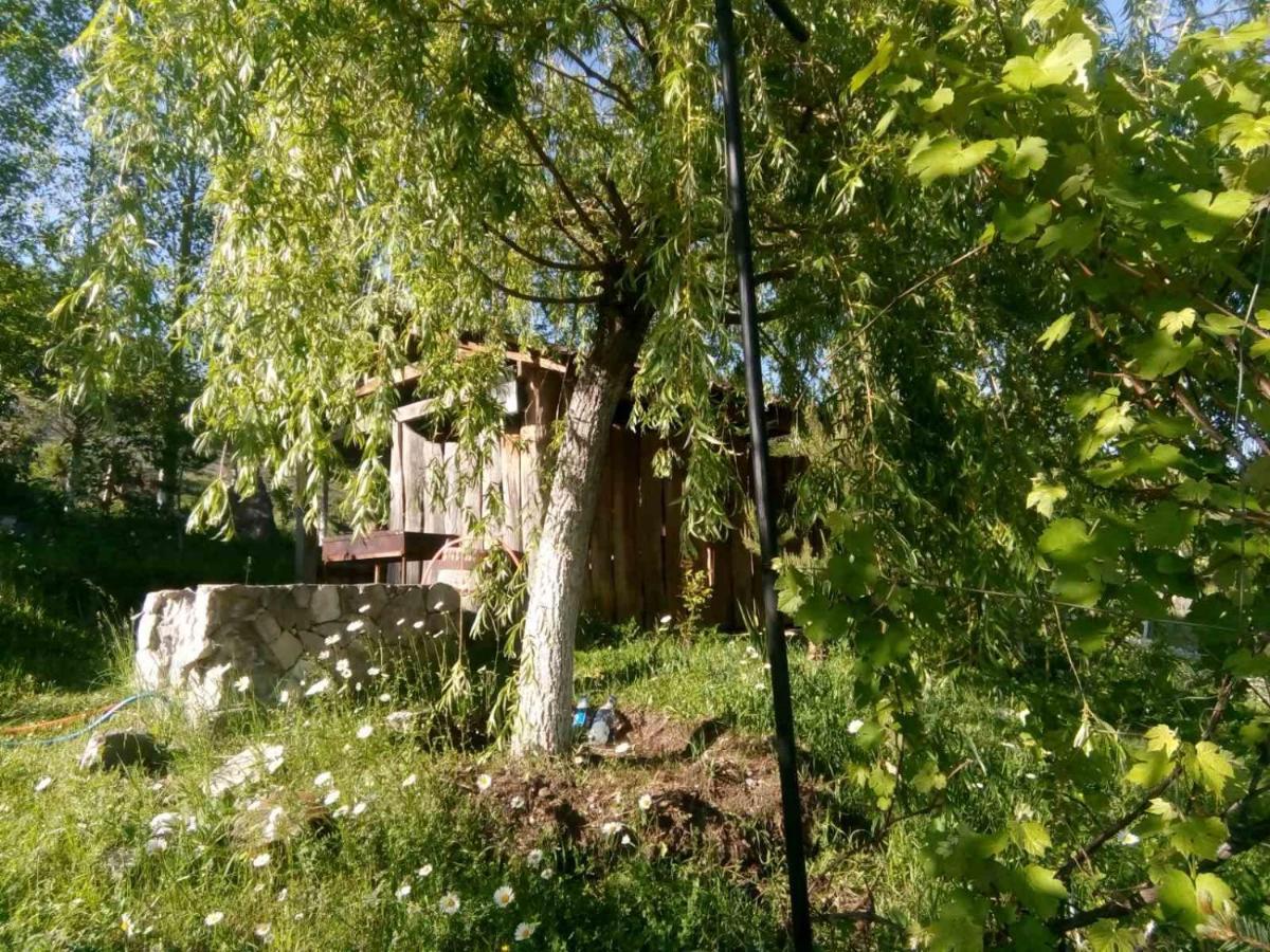 Hotel Nirvana Dilidżan Zewnętrze zdjęcie